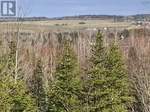 Antigonish County, NS B0H1P0,Lot 21-10 Mary Cecelia Ridge