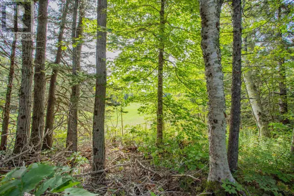 Harbourville, NS B0P1E0,Lot Hamilton Road