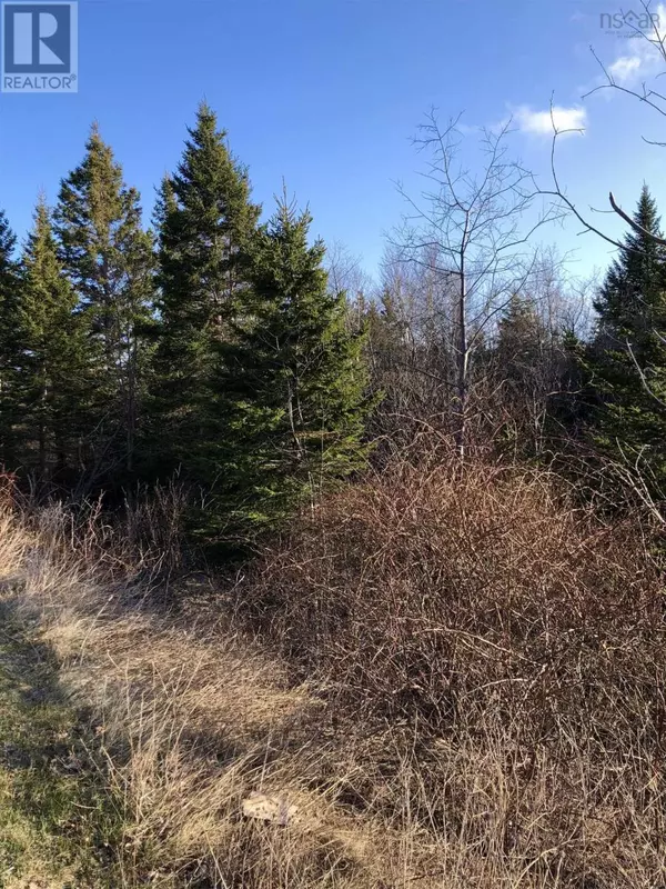 Lots 14 & 15 Highview & Clough Ave, Port Hastings, NS B9A1K8