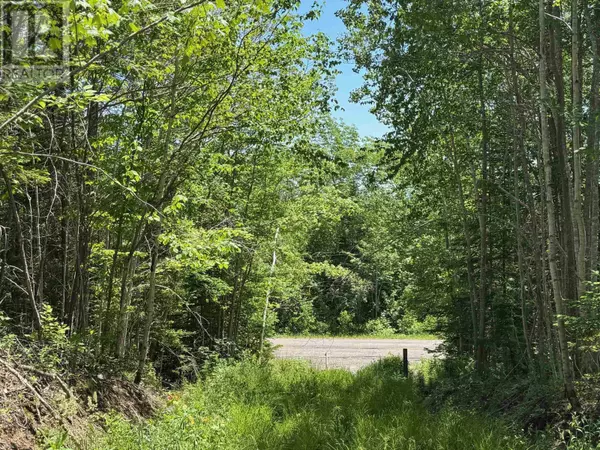 Marble Mountain, NS B0E2Y0,Marble Mountain Road