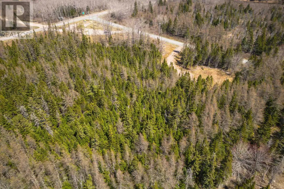 Cleveland, NS B0E1J0,Lot 6 Highway 4