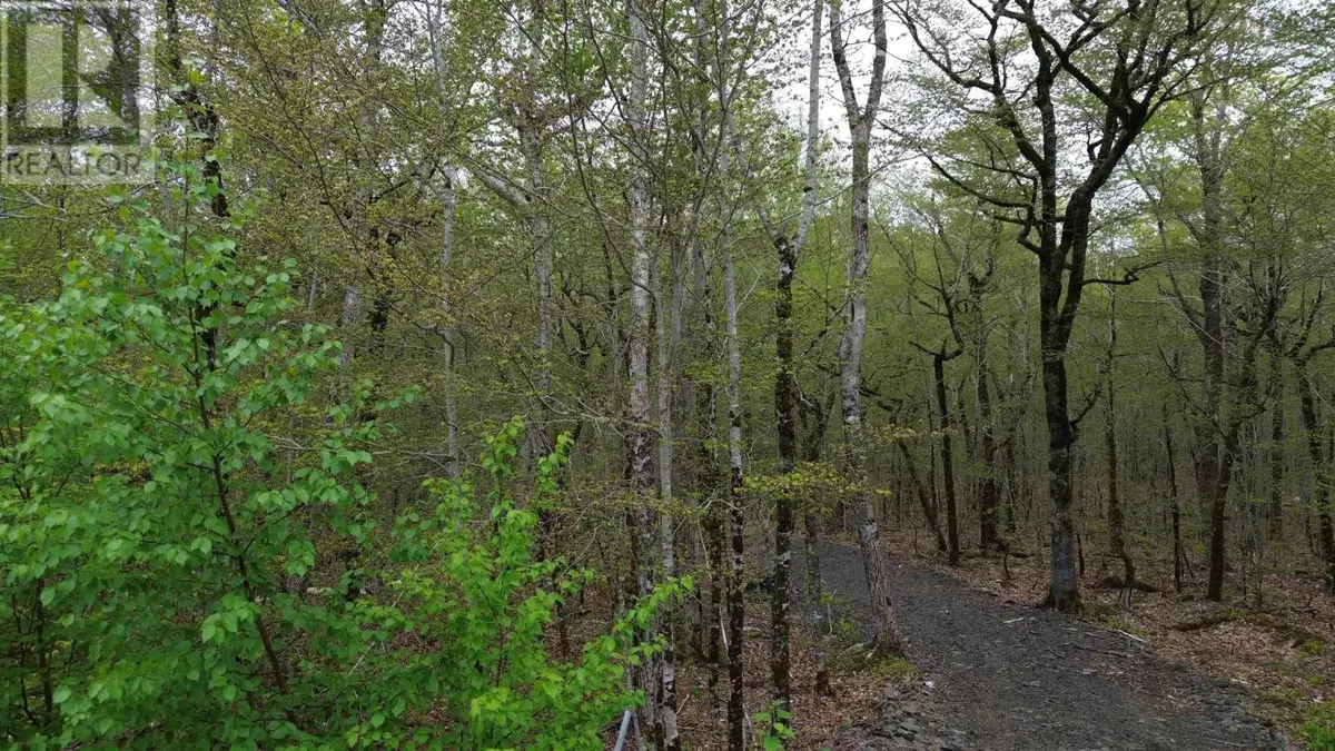 Walden, NS B0J2E0,Lot 46 Turner Point Road