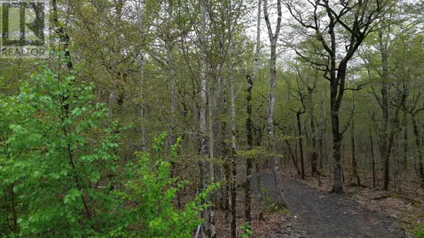 Lot 46 Turner Point Road, Walden, NS B0J2E0