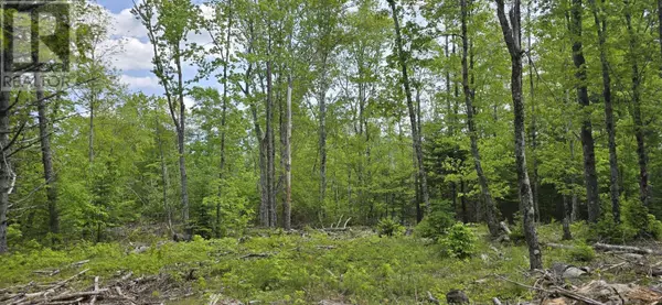 East Clifford, NS B4V7R8,Lot 24-6 East Clifford Road