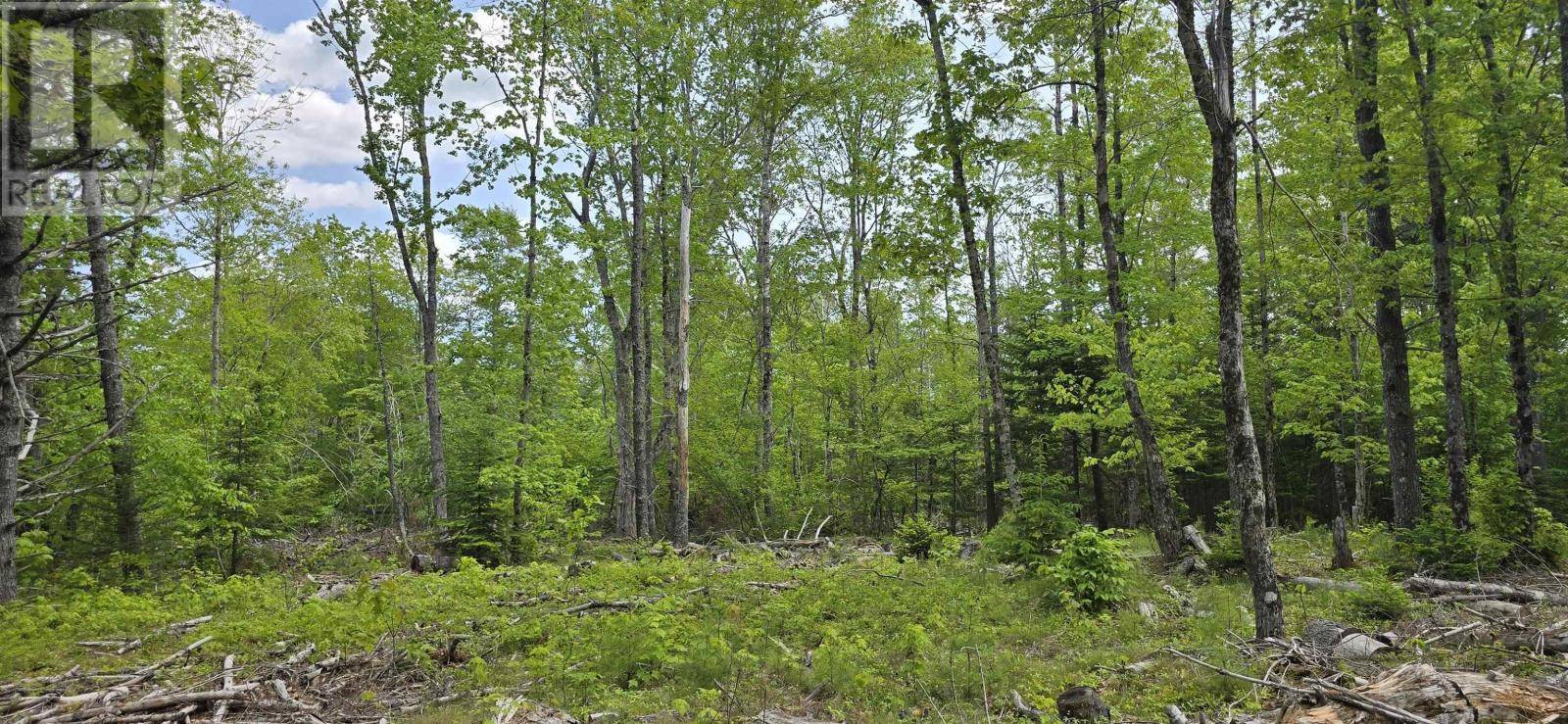 East Clifford, NS B4V7R8,Lot 24-6 East Clifford Road