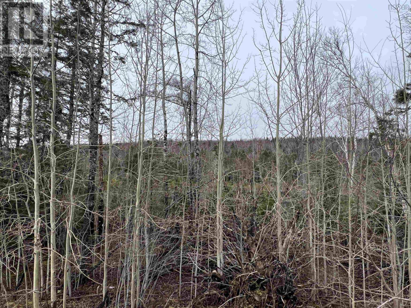 Leitches creek Road, North Sydney, NS B2A3Y9