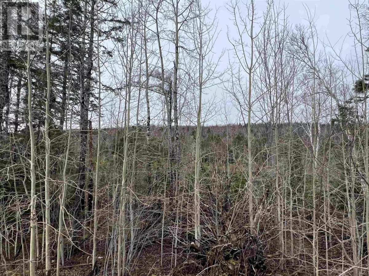 North Sydney, NS B2A3Y9,Leitches creek Road
