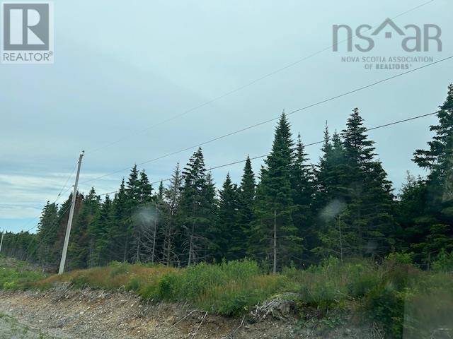 Salmon River Road, West L&apos;ardoise, NS B0E1S0