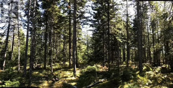 Ardoise, NS B0N1L0,Acreage NO 101 Highway