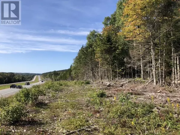 Ardoise, NS B0N1L0,Acreage NO 101 Highway