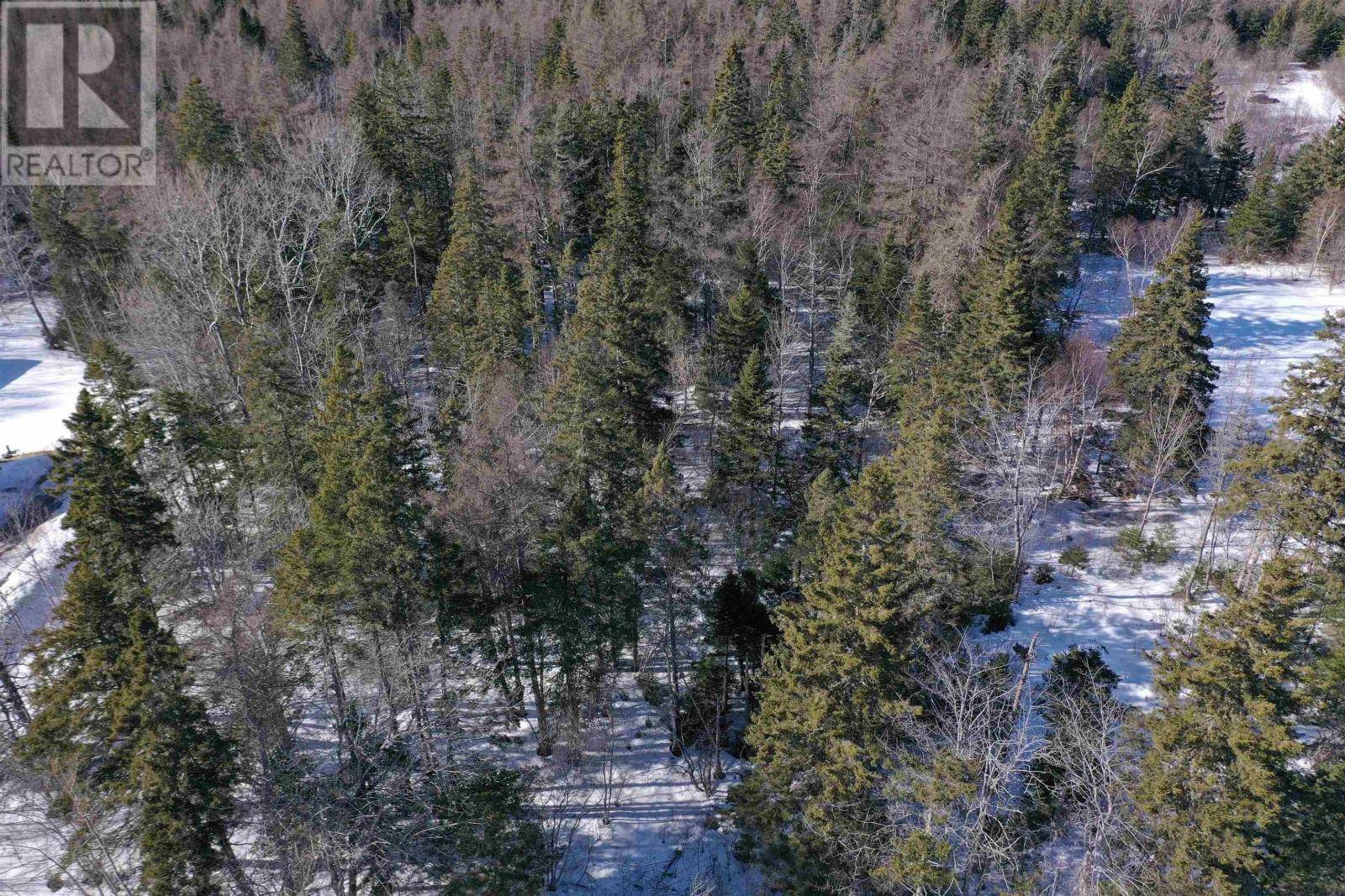 Highway 4, McIntyre Lake, Cleveland, NS B0E1J0