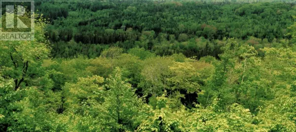 Big Brook, NS B0E2Y0,Lots 2 & 3 Big Brook Road