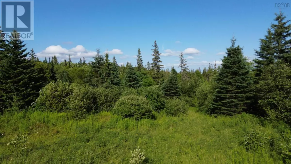 Grande Anse, NS B0E1V0,Black River Road