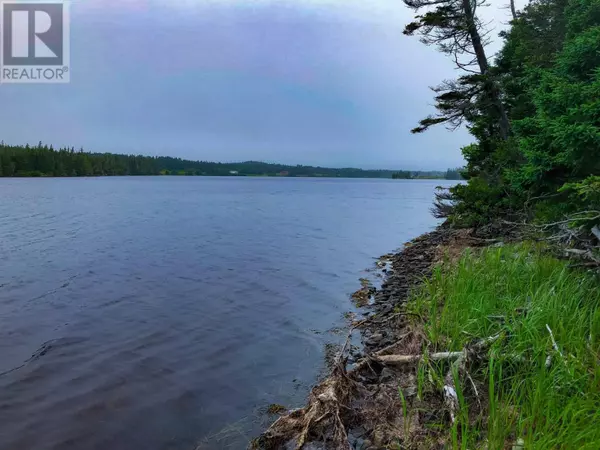 Lot 290 East Side Grand River Road, Grand River, NS B0E1M0