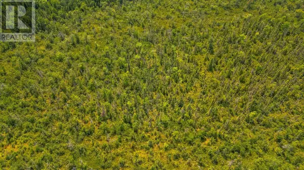 New Russell, NS B0J2M0,8 Red Shirt Road Road