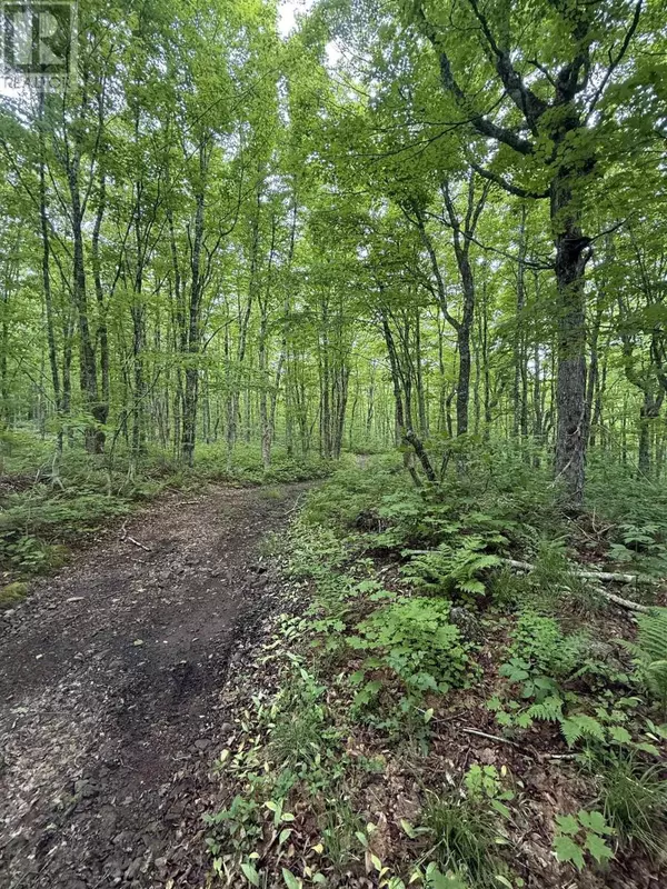 New Annan, NS B0K1V0,Lot PID#20098885 Truro Road