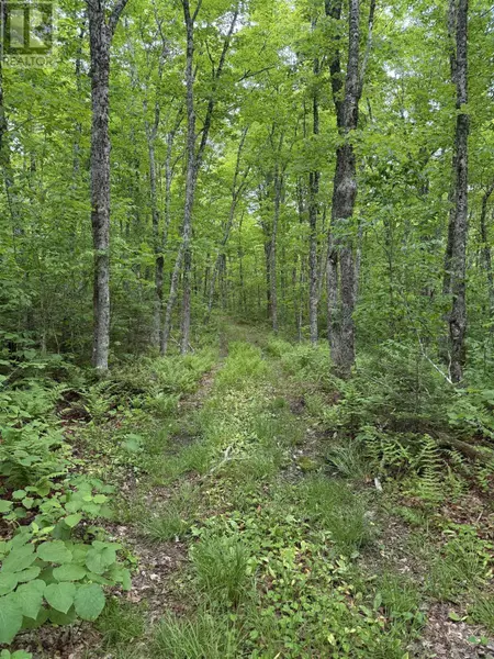 Lot PID#20098885 Truro Road, New Annan, NS B0K1V0