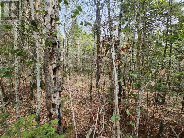 Walden, NS B0J2E0,Lot 69 Turner Point Crossover