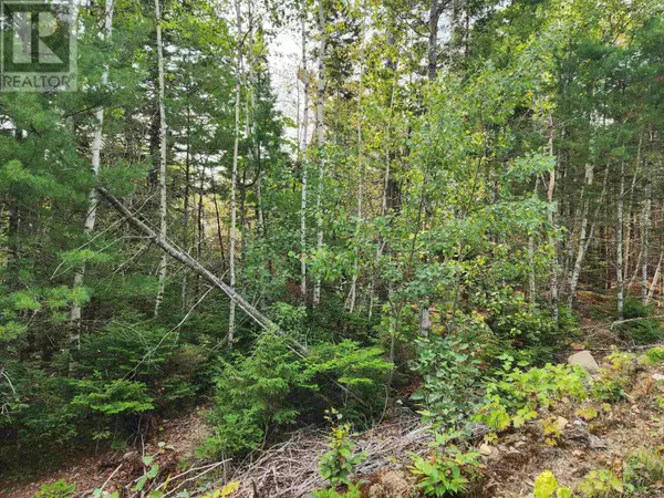 Walden, NS B0J2E0,Lot 70 Turner Point Crossover