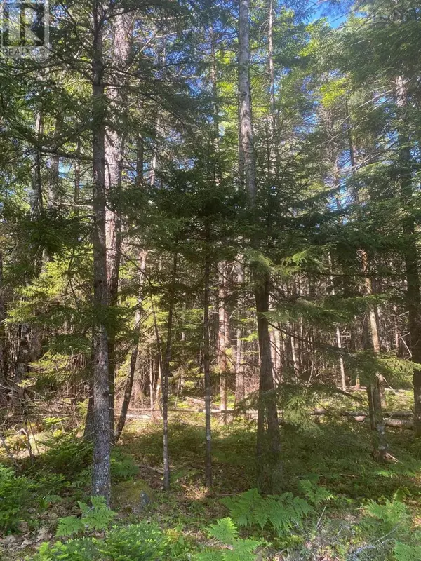 Mount Pleasant, NS B0R1G0,Lot PID60493061 Huey Lake Road