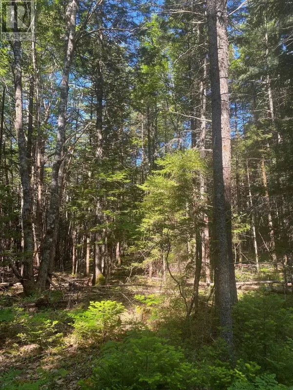 Mount Pleasant, NS B0R1G0,Lot PID60493061 Huey Lake Road