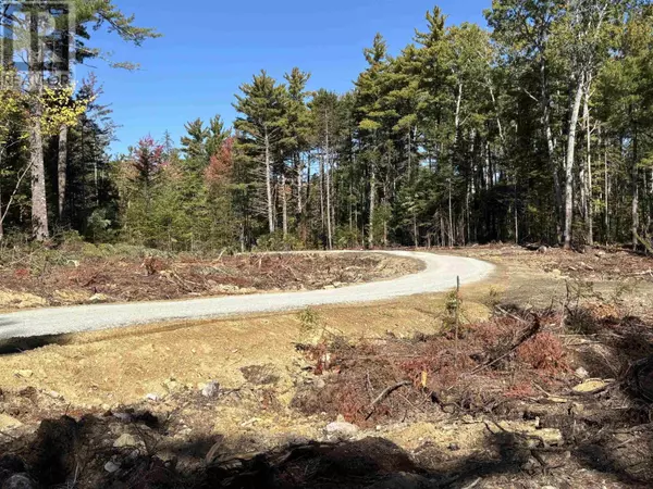 West Clifford, NS B4V8H3,Lot 4-23 Highway 325