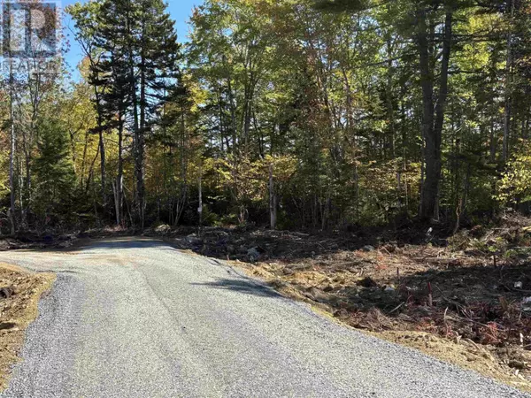 West Clifford, NS B4V8H3,Lot 7-23 Highway 325