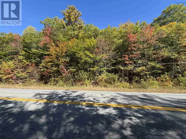 West Clifford, NS B4V8H3,Lot 1-23 Highway 325