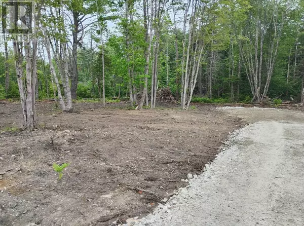 Gavelton, NS B0W3M0,Gavel Road