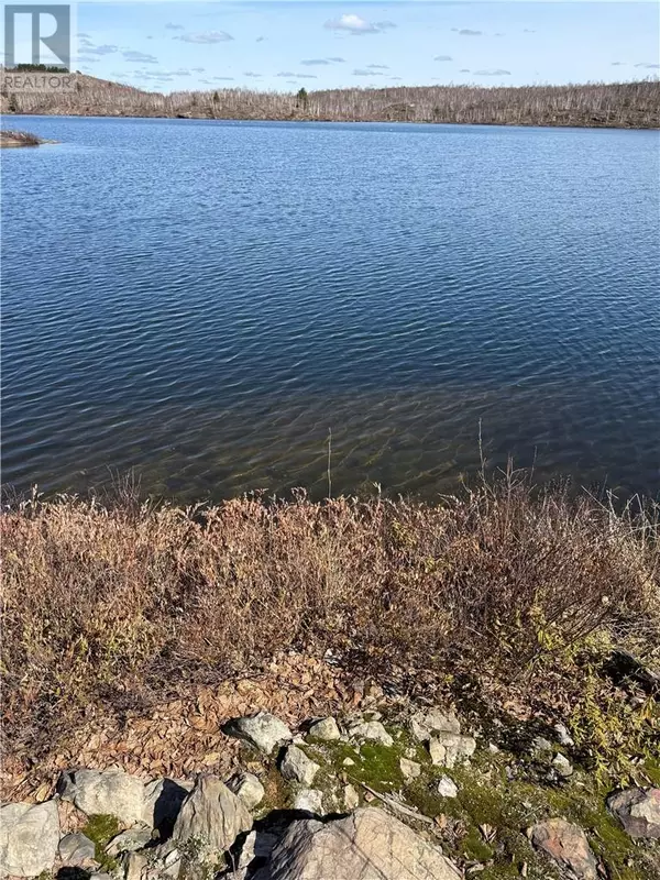 Greater Sudbury, ON P3E4M9,Part of lots 9 & 10 Salo Road