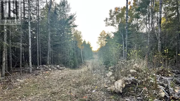 NA Checkerboard Lane, Gore Bay, ON P0P1H0