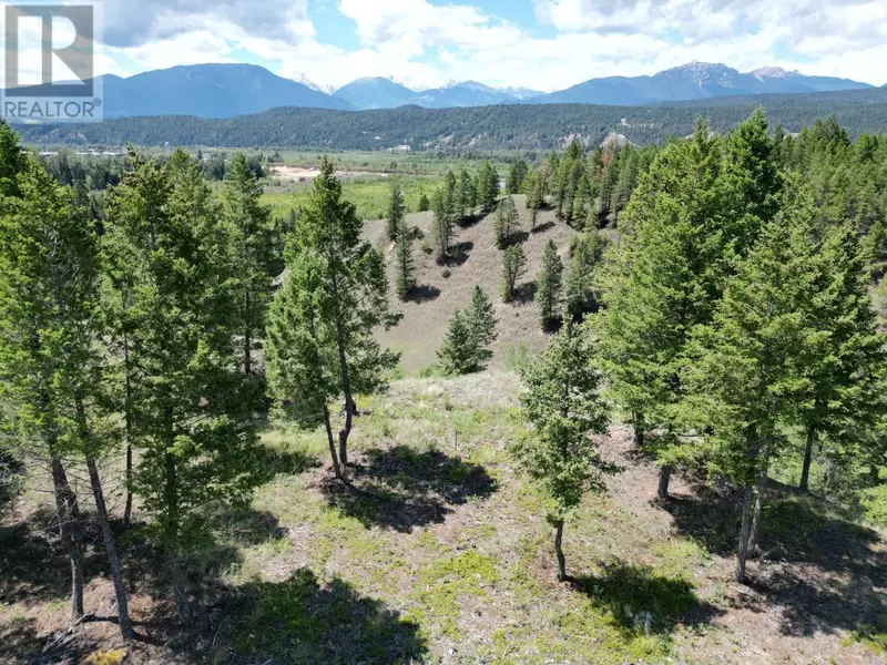 Lot 17 SADDLEWOOD Lane, Radium Hot Springs, BC V0A1M0