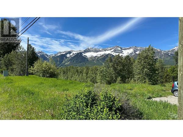 85 COKATO Road, Fernie, BC V0A1M0