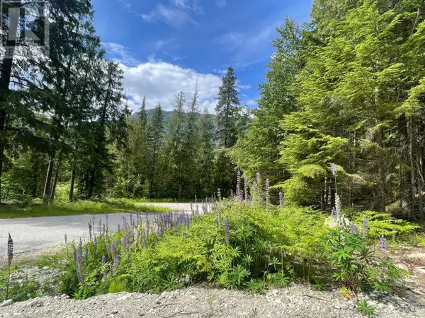 Crawford Bay, BC V0B1B0,Lot 2 SELKIRK Road