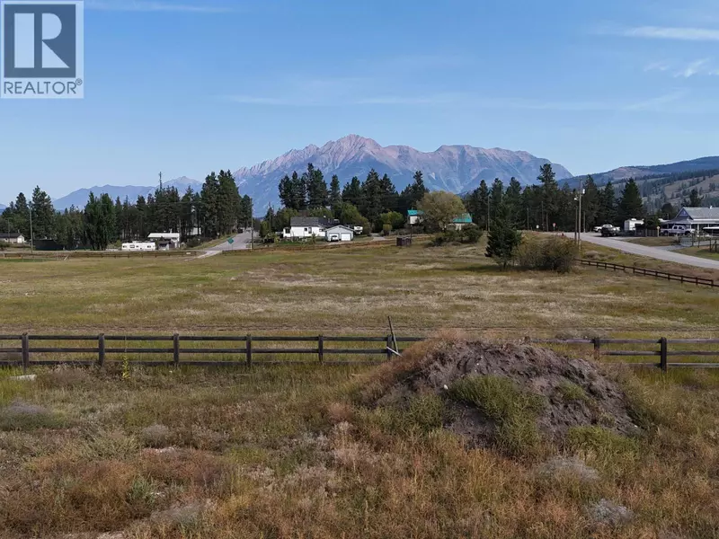 Lot 54 LAURIER Avenue, Wardner, BC V0B2J0