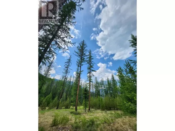 Canal Flats, BC V0B1B0,Lot 3 WHITETAIL LAKE Road