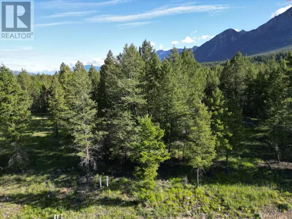 Radium Hot Springs, BC V0A1M0,4929 SADDLEWOOD Lane