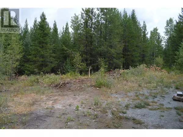 Grand Forks, BC V0H1H5,Lot 1 3 Highway
