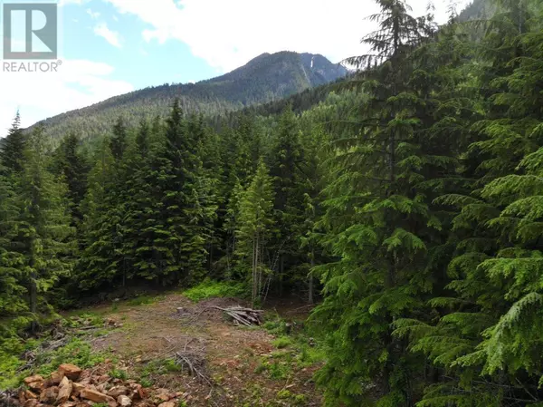 Trout Lake, BC V0G1R2,DL5693 STAUBERT Lake