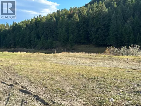 Wardner, BC V0B2J0,Lot 38 LAURIER Avenue