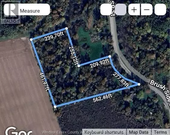 Essex, ON N8M2X6,V/L BRUSH Sideroad