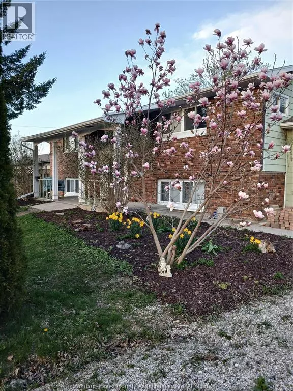 Blenheim, ON N0P1A0,8 STORY STREET