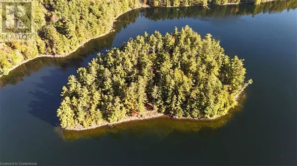 100 KILGORE Island, Cloyne, ON K0H1K0