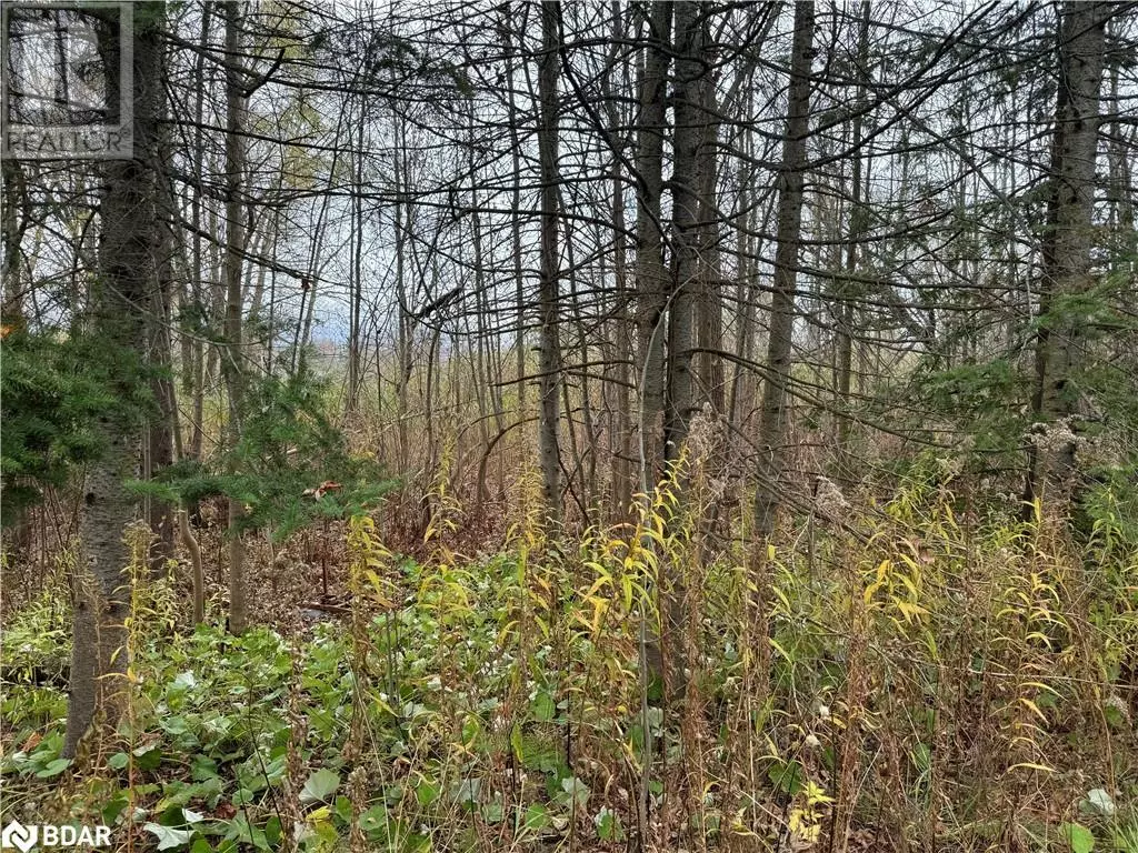 Innisfil, ON L9S2E9,0 TAYLORWOODS Boulevard