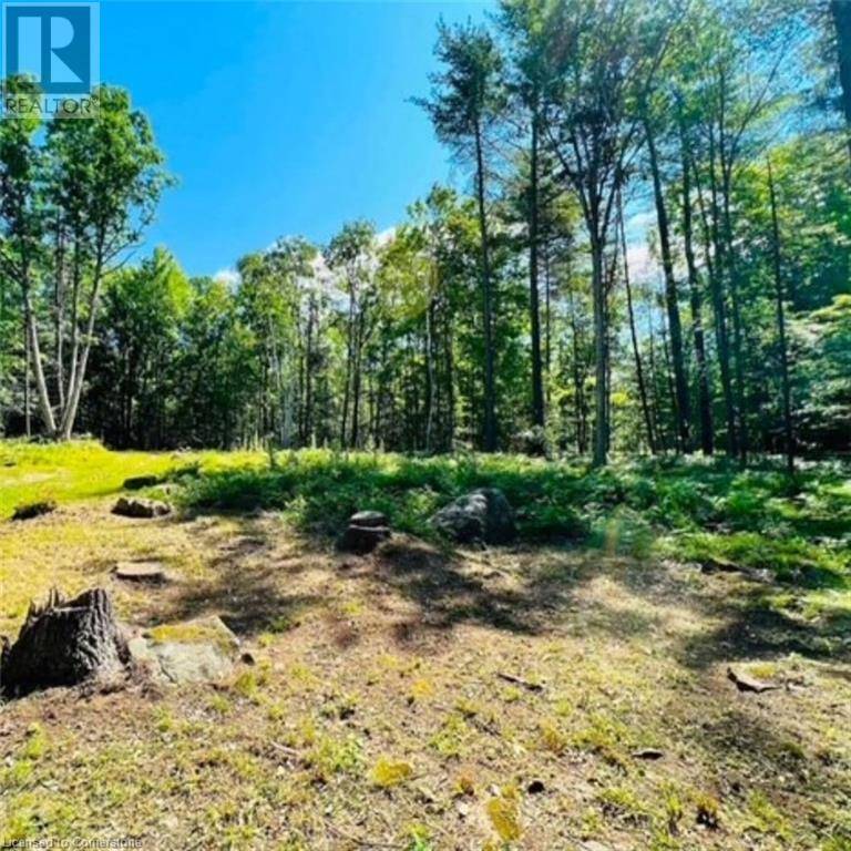 Havelock-belmont-methuen Twp, ON K0L1Z0,629 BOWEN Road