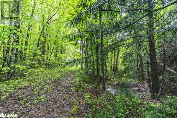 Oro-medonte, ON L0K2C0,PT LOTS 23 & 24 CON 8