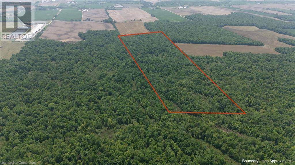 Canfield, ON N1A2W1,PT LT 11 CONCESSION 1 Road