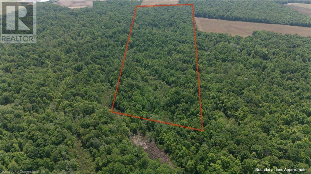 Canfield, ON N1A2W1,PT LT 11 CONCESSION 1 Road