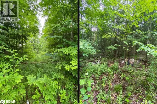 Innisfil, ON L9S4S3,2580 6TH Line