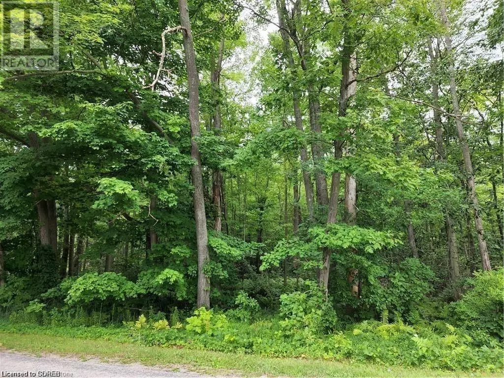 Simcoe, ON N3Y4K1,PT LOT 20 7 CONCESSION